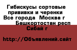 Гибискусы сортовые, прививки и черенки - Все города, Москва г.  »    . Башкортостан респ.,Сибай г.